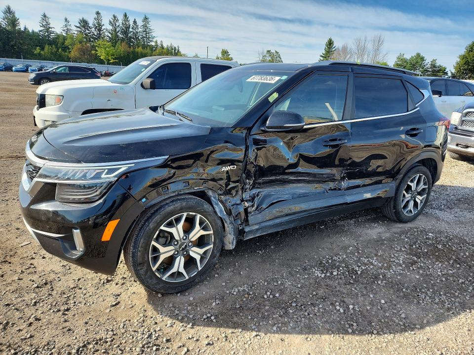 Auction sale of the 2023 Kia Seltos, vin: KNDERCAA5P7434436, lot number: 67783636