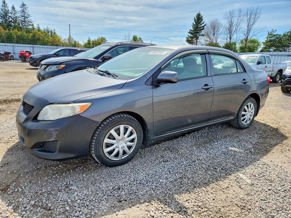 68032566 :رقم المزاد ، 2T1BU4EE3AC353249 vin ، 2010 Toyota Corolla مزاد بيع