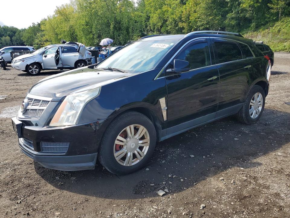 Продаж на аукціоні авто 2010 Cadillac Srx, vin: 3GYFNDEY5AS611972, номер лоту: 67685136