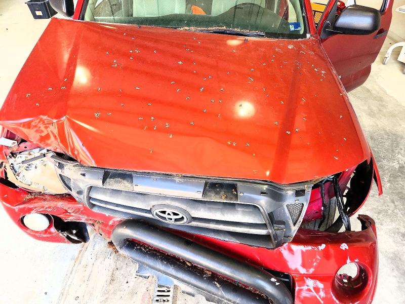 Продаж на аукціоні авто 2007 Toyota Tacoma, vin: 5TELU42N27Z428857, номер лоту: 68511006