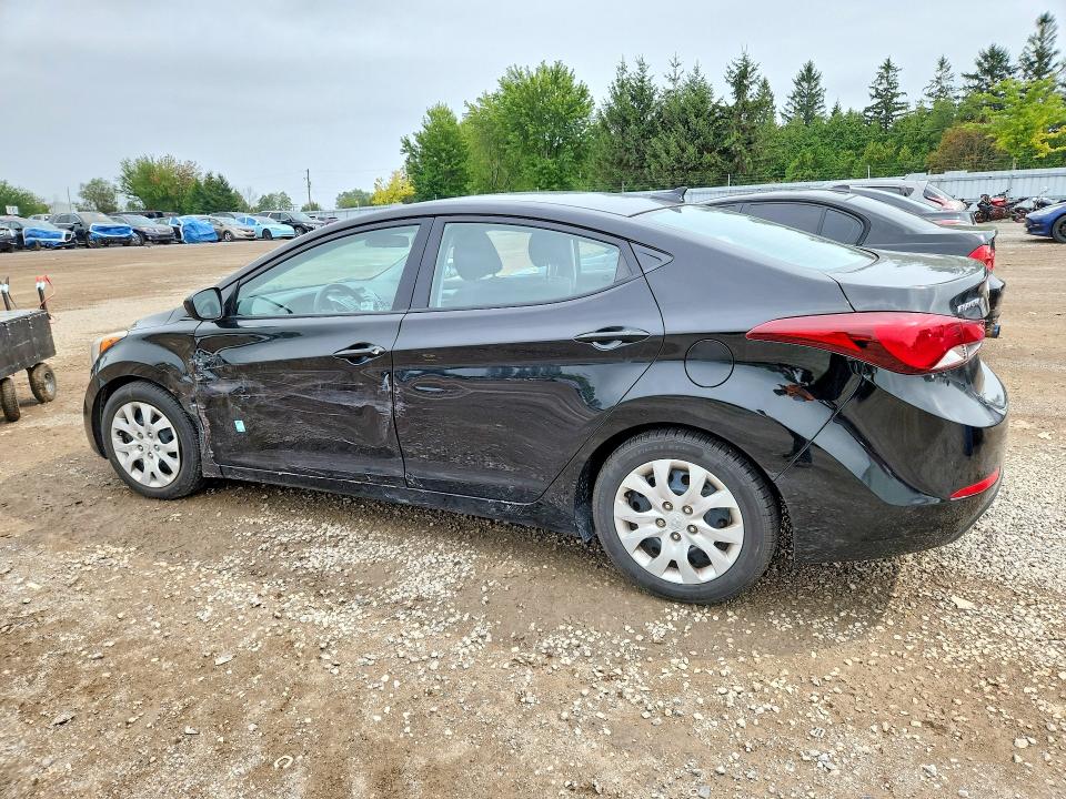 Продаж на аукціоні авто 2016 Hyundai Elantra, vin: 5NPDH4AE6GH798108, номер лоту: 67452486