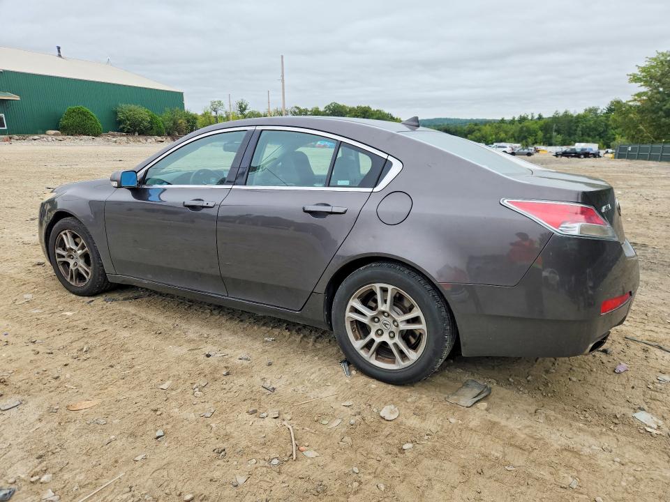 2009 Acura Tl მანქანა იყიდება აუქციონზე, vin: 19UUA86269A013799, აუქციონის ნომერი: 68188526