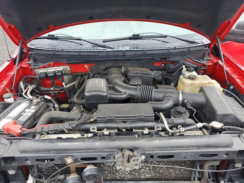 66639586 :رقم المزاد ، 1FTFX1EV6AFB79045 vin ، 2010 Ford F150 مزاد بيع