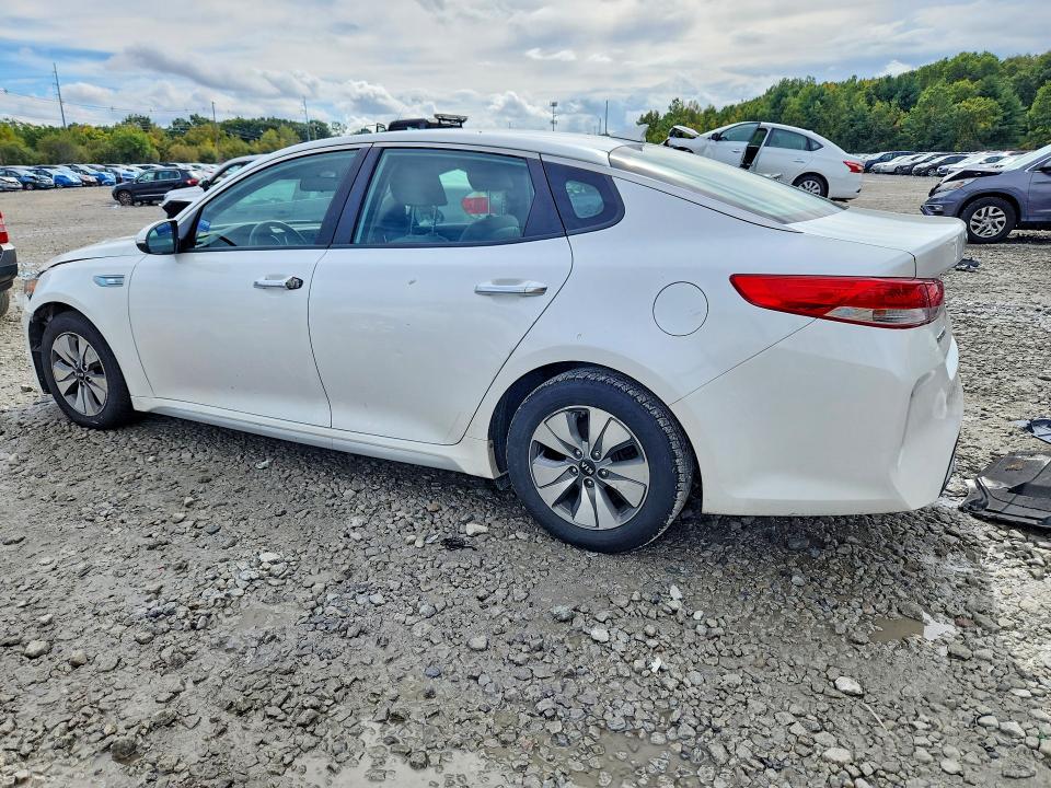 Aukcja sprzedaży 2017 Kia Optima, vin: KNAGT4LE9H5016861, numer aukcji: 71358546