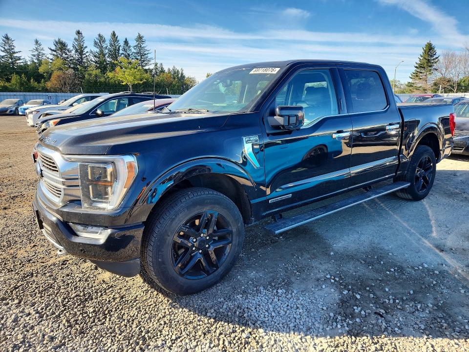 Auction sale of the 2023 Ford F150, vin: 1FTFW1ED2PFA14158, lot number: 69718076