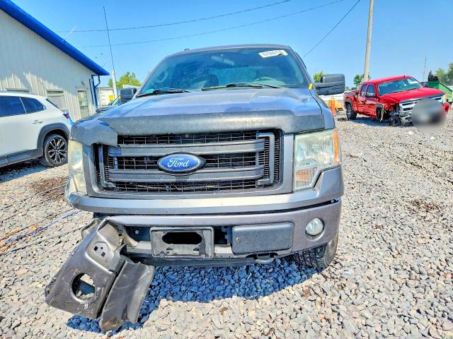 2013 Ford F150 მანქანა იყიდება აუქციონზე, vin: 1FTFX1EF6DFD78657, აუქციონის ნომერი: 67560136