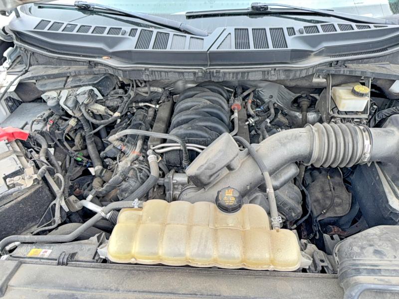 2021 Ford F150 მანქანა იყიდება აუქციონზე, vin: 1FTFW1E58MKE84447, აუქციონის ნომერი: 71193626