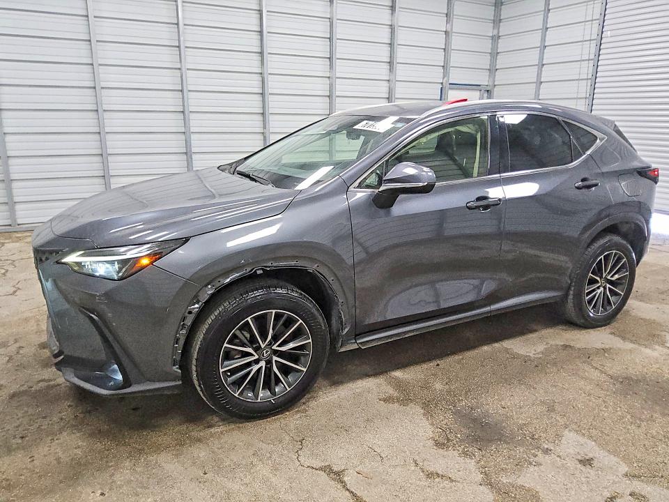 2023 Lexus Nx მანქანა იყიდება აუქციონზე, vin: JTJADCAZ8P5013130, აუქციონის ნომერი: 67015936