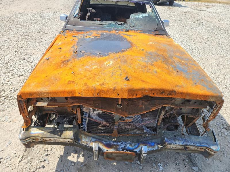 68597196 :رقم المزاد ، 1G6AL5797BE618437 vin ، 1981 Cadillac Eldorado مزاد بيع