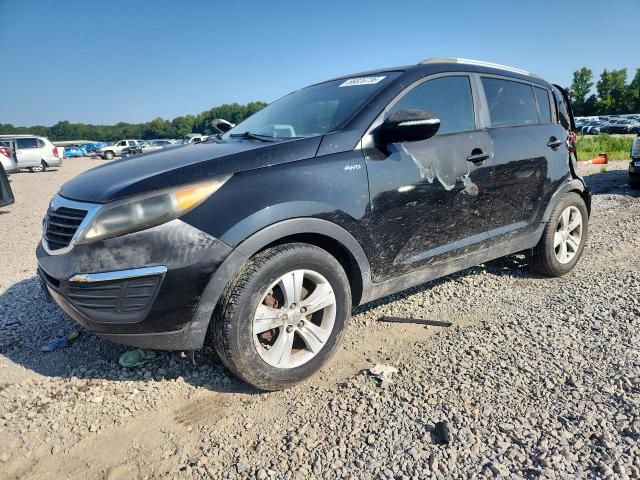 Auction sale of the 2011 Kia Sportage, vin: KNDPBCA29B7025855, lot number: 66826736