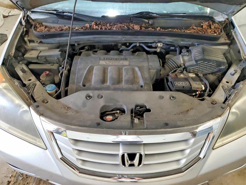 Продажа на аукционе авто 2010 Honda Odyssey, vin: 5FNRL3H99AB090111, номер лота: 68017586