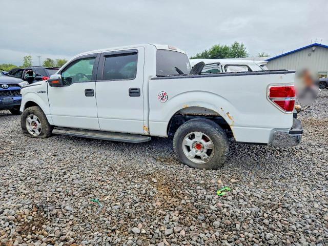 Продаж на аукціоні авто 2010 Ford F150, vin: 1FTFW1CV6AKB25838, номер лоту: 68388946