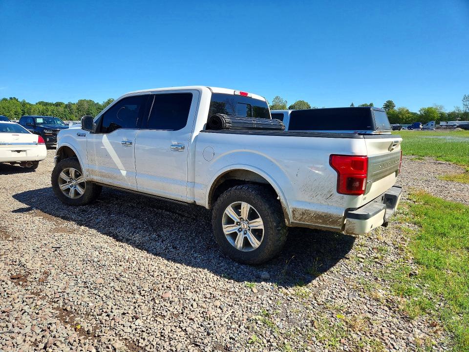 Продаж на аукціоні авто 2019 Ford F150, vin: 1FTEW1E54KFB31950, номер лоту: 68029546