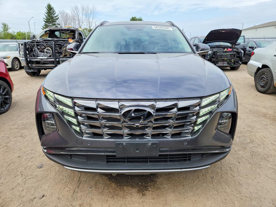 2024 Hyundai Tucson მანქანა იყიდება აუქციონზე, vin: KM8JCCD1XRU137013, აუქციონის ნომერი: 66560596