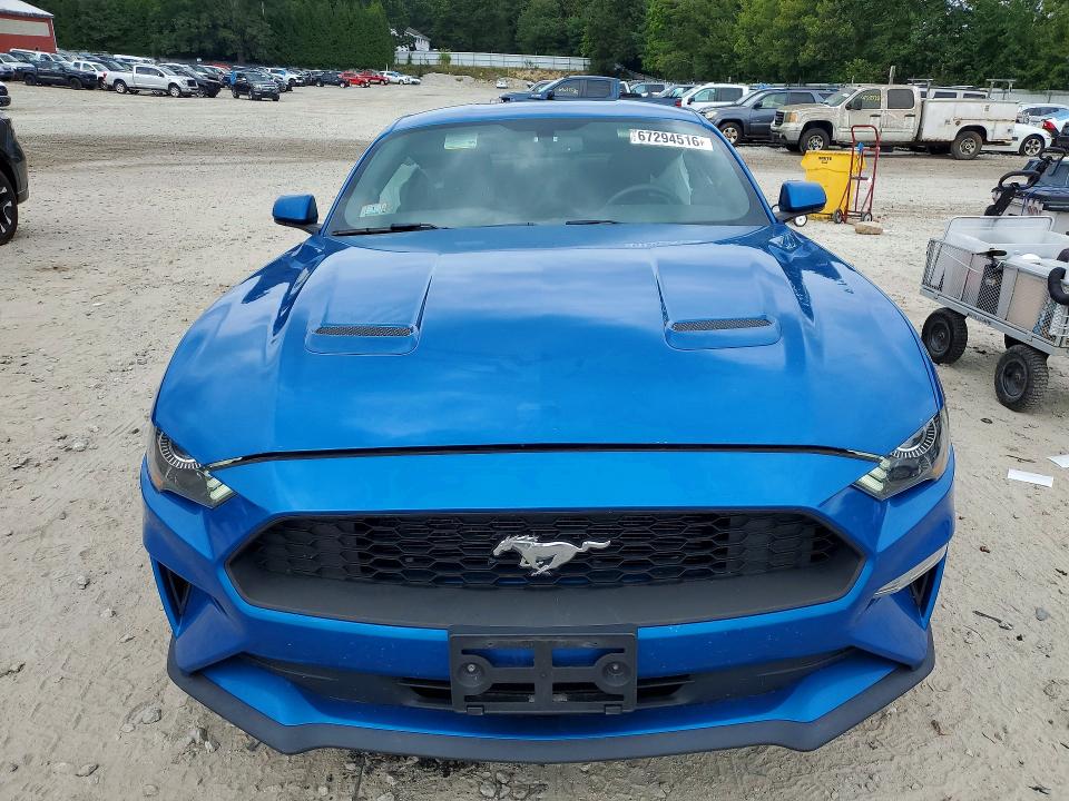 Продаж на аукціоні авто 2019 Ford Mustang, vin: 1FA6P8TH4K5194162, номер лоту: 67294516