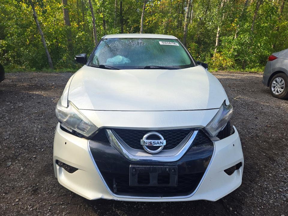 66658796 :رقم المزاد ، 1N4AA6AP6GC905924 vin ، 2016 Nissan Maxima مزاد بيع