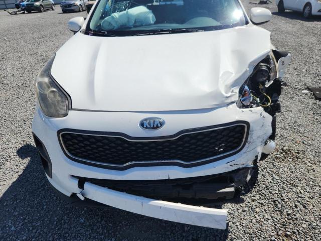 2019 Kia Sportage მანქანა იყიდება აუქციონზე, vin: KNDPM3AC8K7558167, აუქციონის ნომერი: 70197326