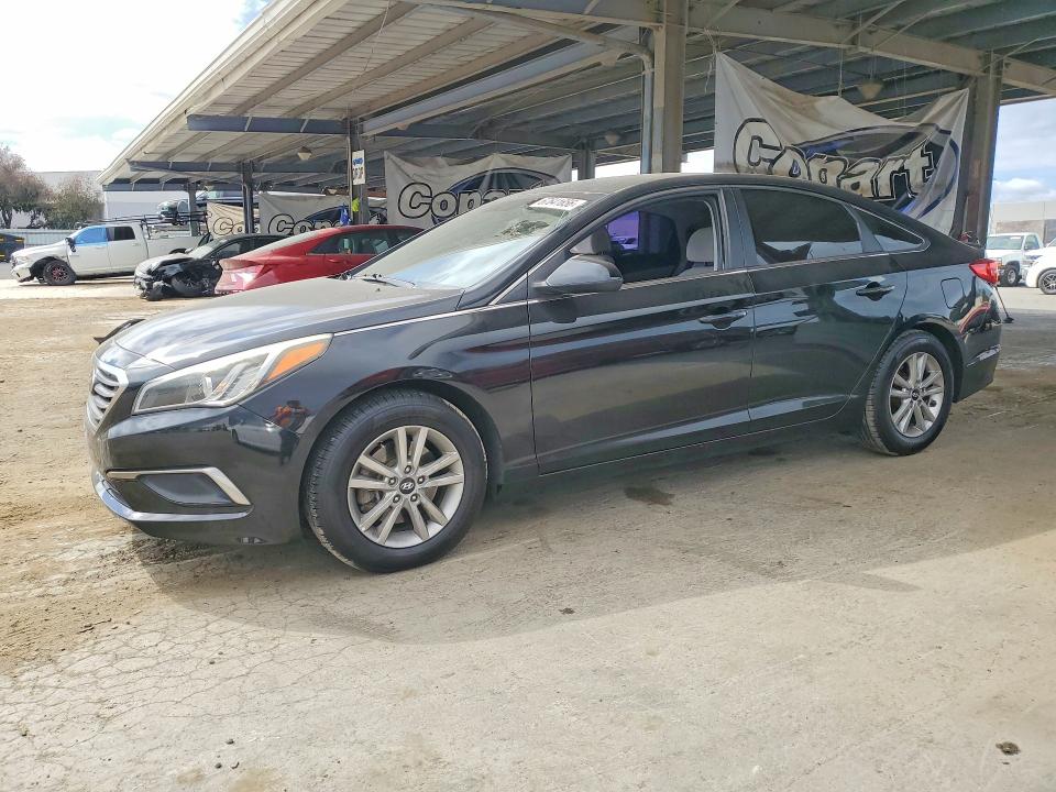 Продаж на аукціоні авто 2016 Hyundai Sonata, vin: 5NPE24AF3GH372990, номер лоту: 67641656