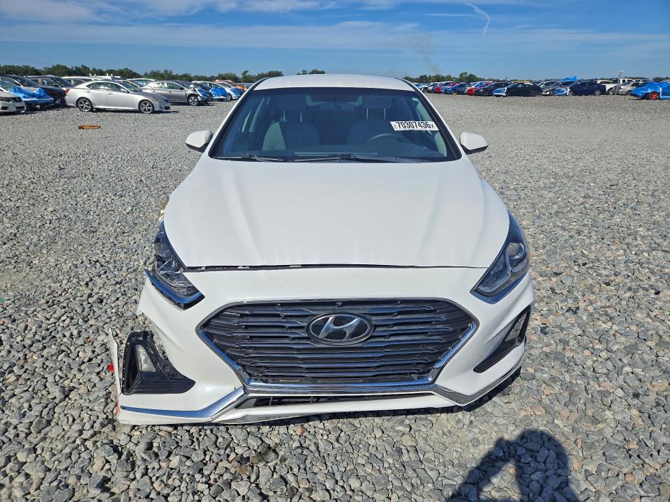 70307436 :رقم المزاد ، 5NPE24AF7KH819474 vin ، 2019 Hyundai Sonata مزاد بيع
