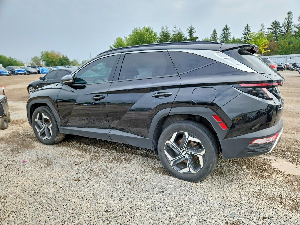 Aukcja sprzedaży 2022 Hyundai Tucson, vin: KM8JCCA11NU054505, numer aukcji: 65413486