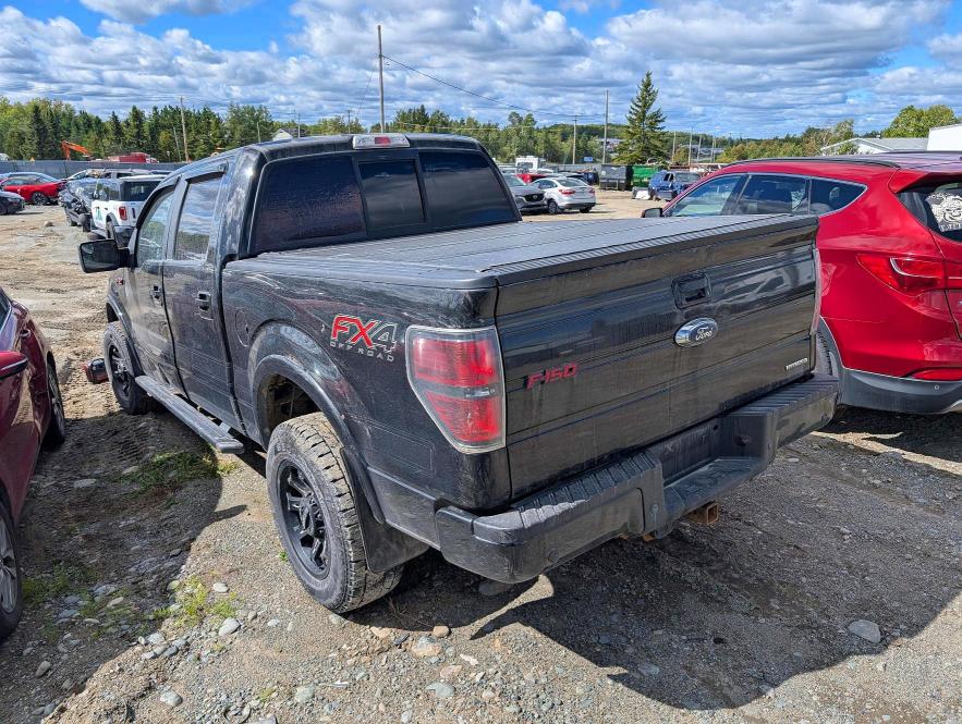 67970766 :رقم المزاد ، 1FTFW1EF3DFD20315 vin ، 2013 Ford F150 مزاد بيع