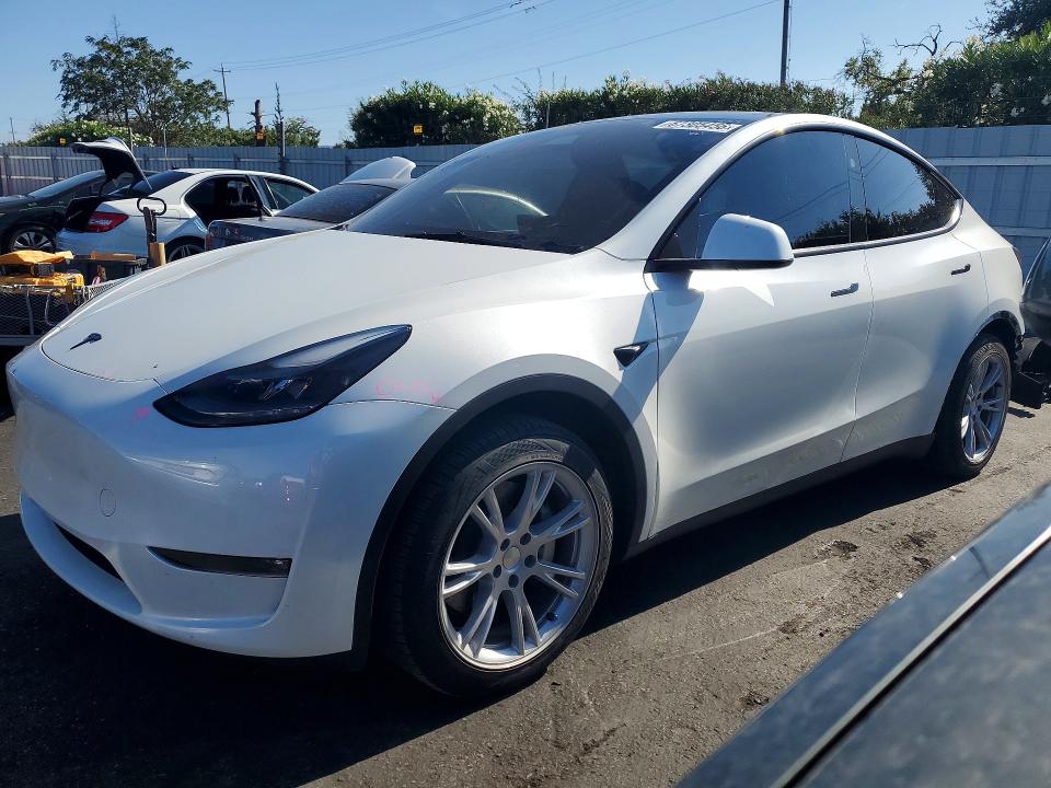 Aukcja sprzedaży 2024 Tesla Model Y, vin: 7SAYGDEE0RF066981, numer aukcji: 67305456