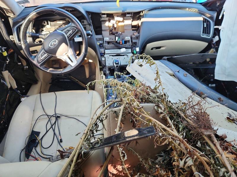 67529456 :رقم المزاد ، JN1EV7AR0KM594147 vin ، 2019 Infiniti Q50 مزاد بيع