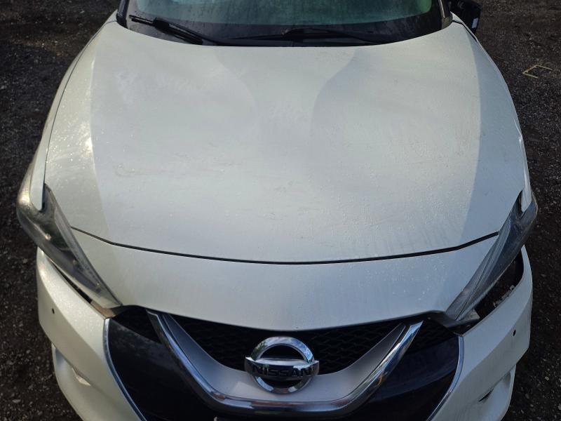 66658796 :رقم المزاد ، 1N4AA6AP6GC905924 vin ، 2016 Nissan Maxima مزاد بيع