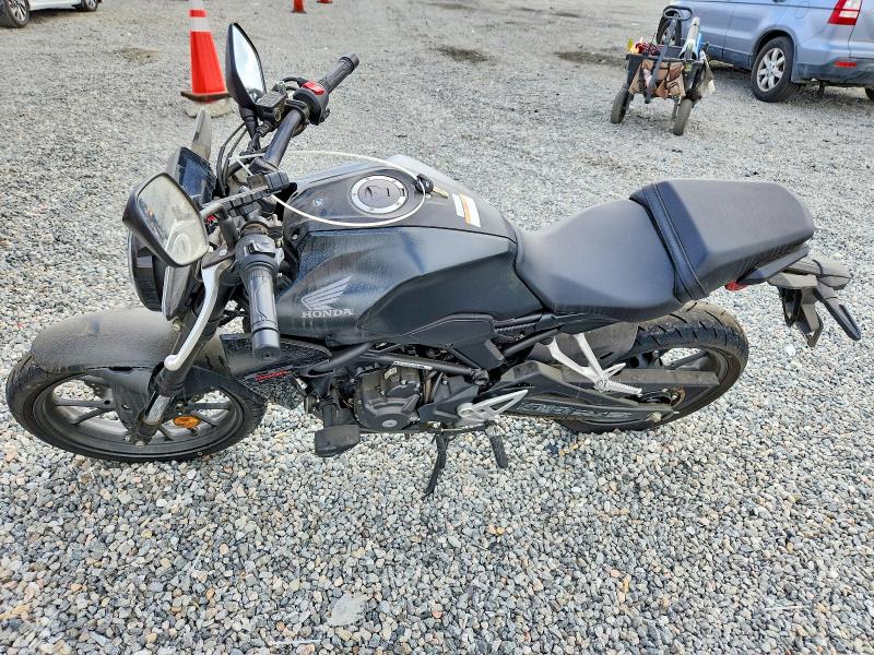 Продажа на аукционе авто 2025 Honda Cbf300, vin: MLHNC5554S5501247, номер лота: 69720136