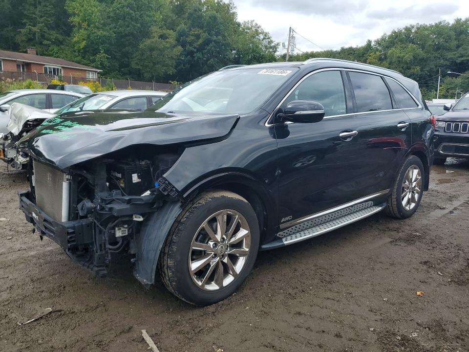 Auction sale of the 2017 Kia Sorento, vin: 5XYPKDA54HG254858, lot number: 70161186