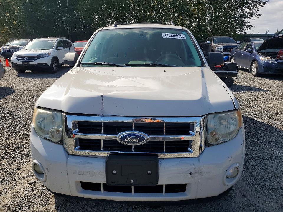 Продаж на аукціоні авто 2009 Ford Escape, vin: 1FMCU03799KC66236, номер лоту: 68555936