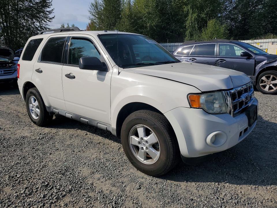 Продаж на аукціоні авто 2009 Ford Escape, vin: 1FMCU03799KC66236, номер лоту: 68555936