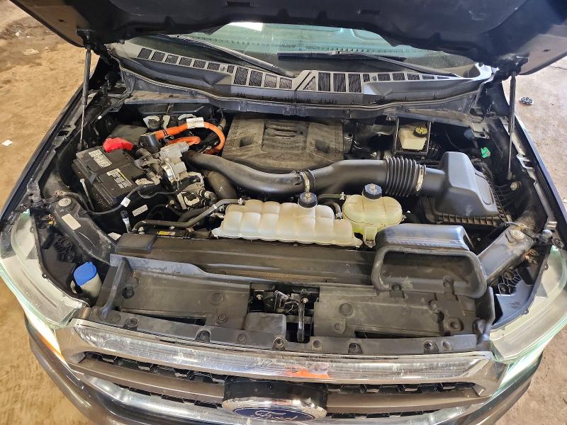 68417766 :رقم المزاد ، 1FTFW1ED1MFB43911 vin ، 2021 Ford F150 مزاد بيع