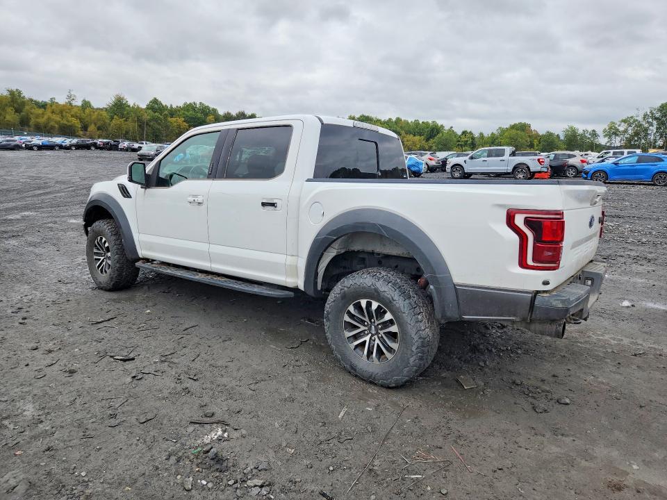 Продажа на аукционе авто 2019 Ford F150, vin: 1FTFW1RG2KFA41728, номер лота: 69808196
