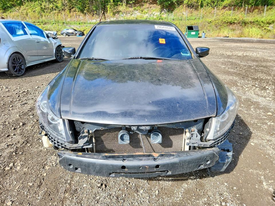 2011 Honda Accord მანქანა იყიდება აუქციონზე, vin: 1HGCP3F87BA019442, აუქციონის ნომერი: 70549426