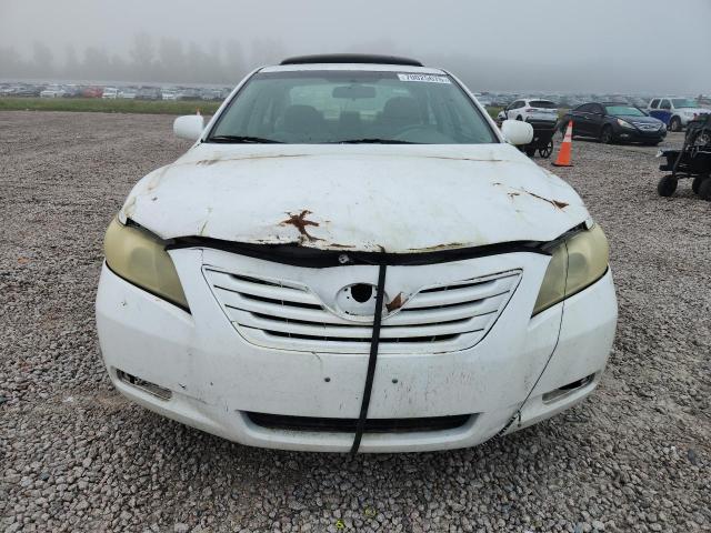 70025676 :رقم المزاد ، 4T1BE46K37U557560 vin ، 2007 Toyota Camry مزاد بيع
