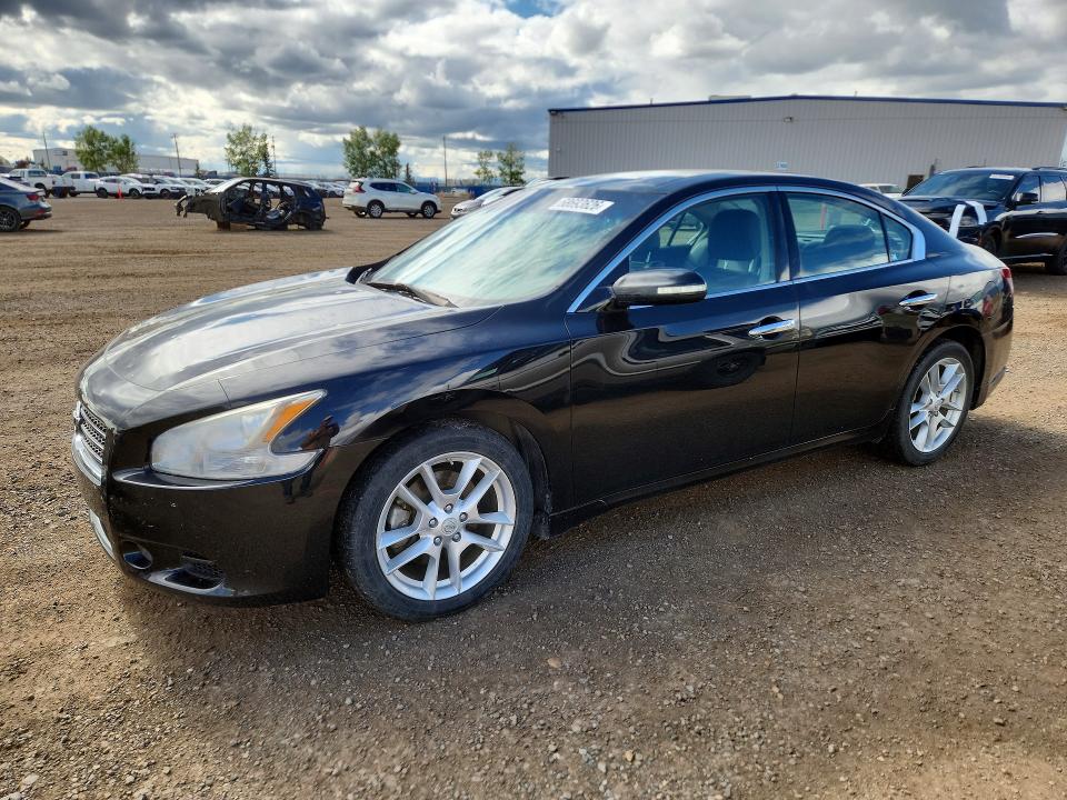 68693626 :رقم المزاد ، 1N4AA51E39C807378 vin ، 2009 Nissan Maxima مزاد بيع