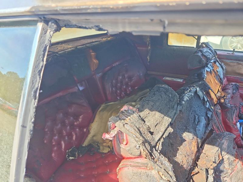68597196 :رقم المزاد ، 1G6AL5797BE618437 vin ، 1981 Cadillac Eldorado مزاد بيع