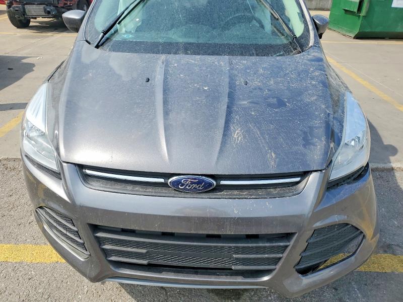Продаж на аукціоні авто 2014 Ford Escape, vin: 1FMCU0G91EUA12112, номер лоту: 67504066