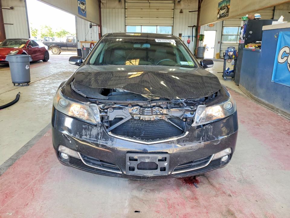 Продаж на аукціоні авто 2013 Acura Tl, vin: 19UUA9F51DA002752, номер лоту: 68729706