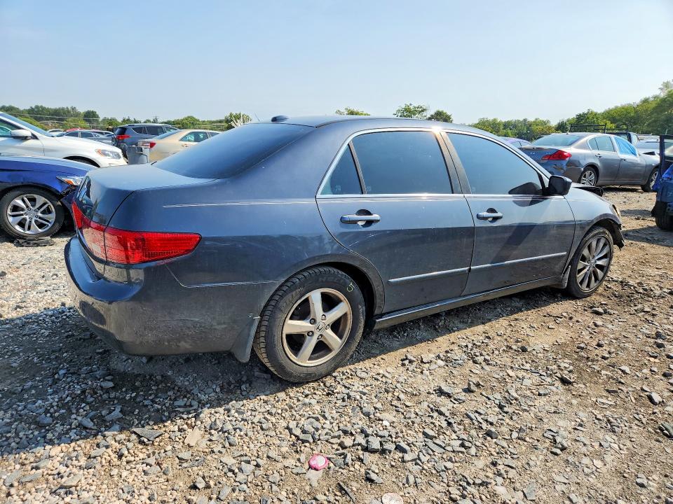 2005 Honda Accord მანქანა იყიდება აუქციონზე, vin: 1HGCM56865A053106, აუქციონის ნომერი: 69395086
