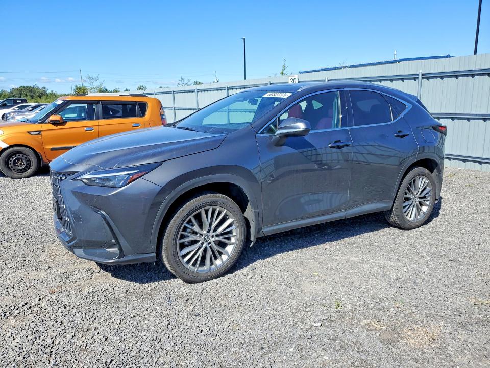 2025 Lexus Nx 350h მანქანა იყიდება აუქციონზე, vin: 2T2GKCEZ3SC044595, აუქციონის ნომერი: 69357226