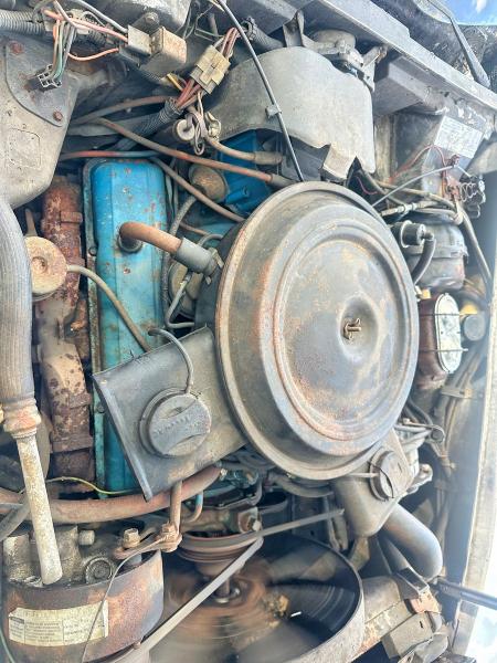 Auction sale of the 1979 Chevrolet Corvette, vin: 1Z8789S428000            , lot number: 69104826