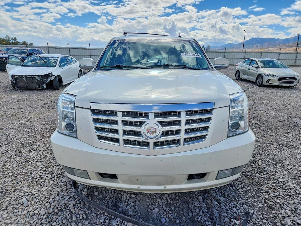 Продаж на аукціоні авто 2011 Cadillac Escalade, vin: 1GYS4BEF0BR347648, номер лоту: 69562816