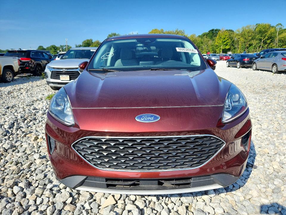 Продаж на аукціоні авто 2021 Ford Escape, vin: 1FMCU0G61MUA67650, номер лоту: 66858956