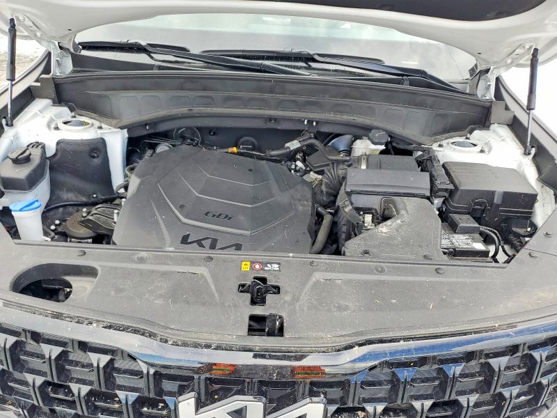 2024 Kia Telluride მანქანა იყიდება აუქციონზე, vin: 5XYP5DGC3RG414369, აუქციონის ნომერი: 70180756