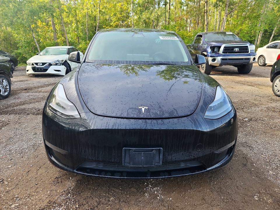 Aukcja sprzedaży 2024 Tesla Model Y, vin: 7SAYGDED4RF993649, numer aukcji: 66320606