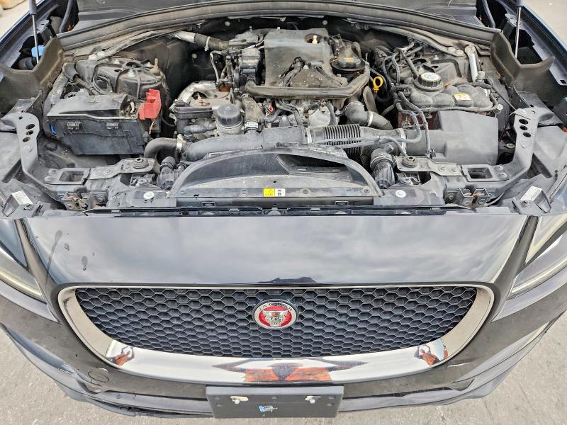 Продаж на аукціоні авто 2019 Jaguar F-pace, vin: SADCJ2FX7KA391207, номер лоту: 69160426