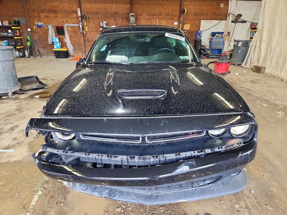 68668336 :رقم المزاد ، 2C3CDZBT5KH739087 vin ، 2019 Dodge Challenger مزاد بيع