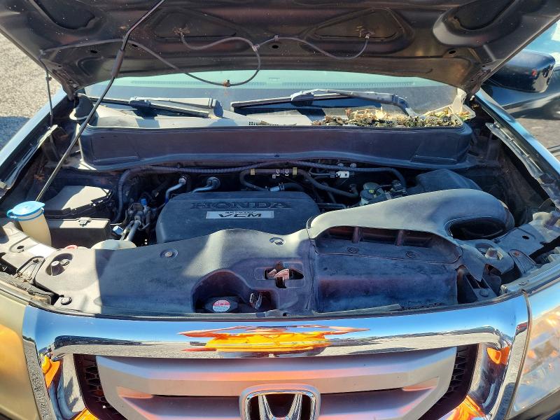 Продажа на аукционе авто 2009 Honda Pilot, vin: 5FNYF38549B025520, номер лота: 68836396